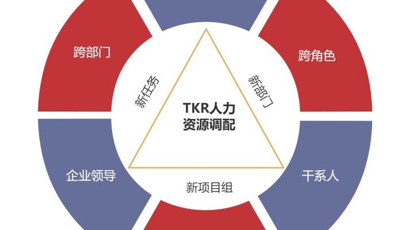 薪酬外包：揭秘企业优化人力资源成本的关键策略**